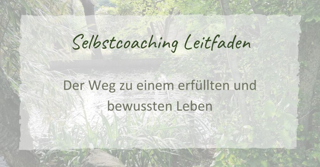 Selbstcoaching Leitfaden