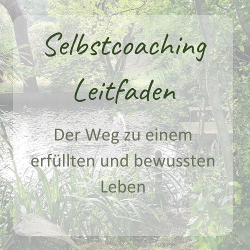 Selbstcoaching Leitfaden